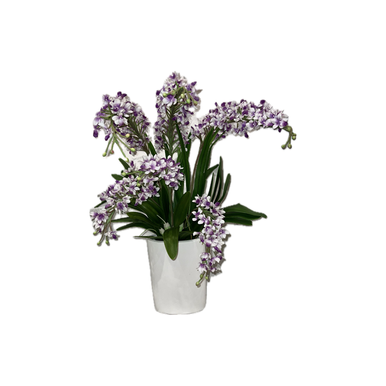 Rhynchostylis gigantea orkider af ler